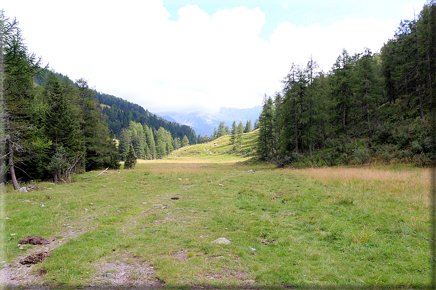 foto Da Forcella Montalon a Val Campelle